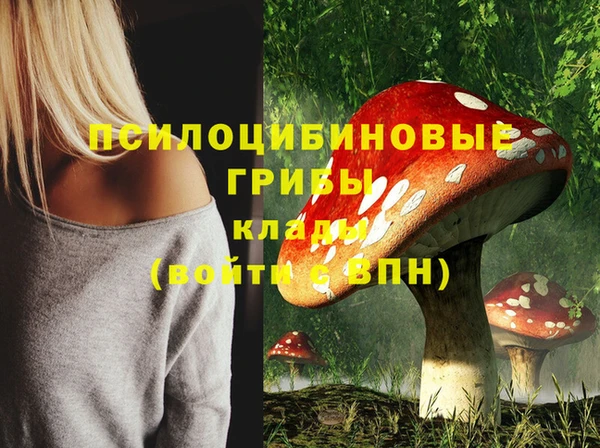 PSILOCYBIN Вязники